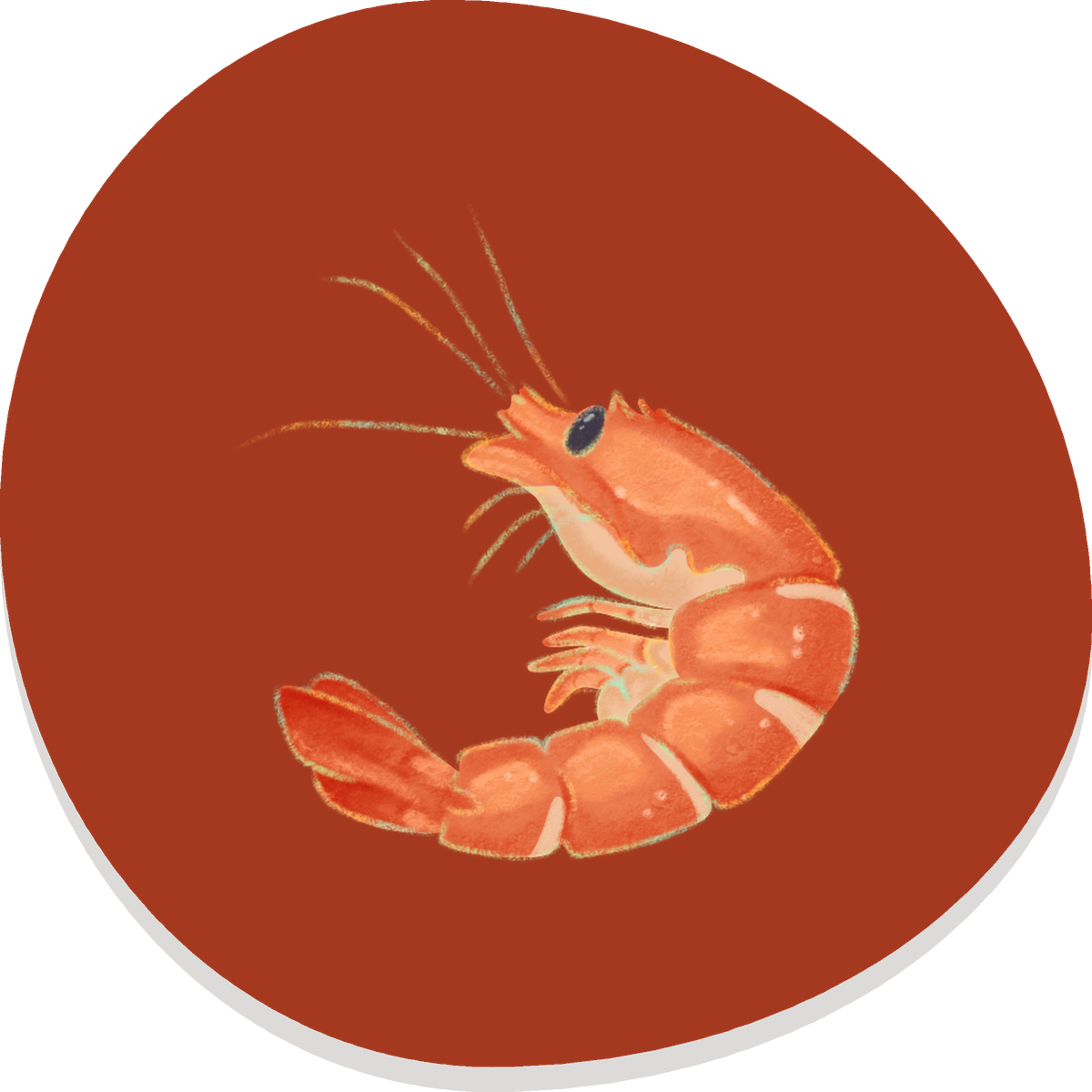 Shrimp illustration on a dark red circle — Desk Buddies